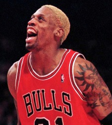 rodman-bulls.jpg