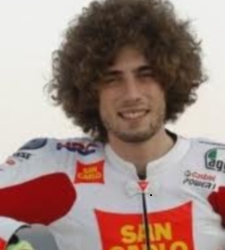 simoncelli2011.jpg