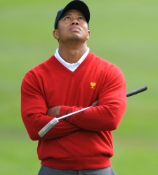 woods250.jpg