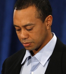 woods250triste.jpg