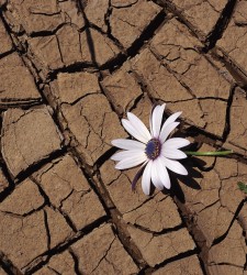 desertificacion.jpg