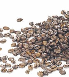 cafe-granos.jpg