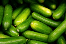 pepinos.jpg