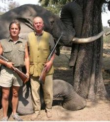 elefante-rey.jpg