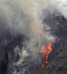 incendio-tenerife-archivo.jpg