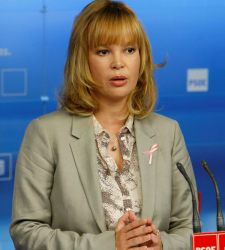 pajin_newlook225.jpg