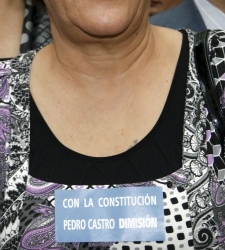 pedro_castro.jpg
