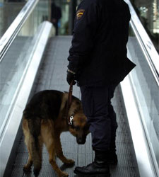 policianacional.jpg
