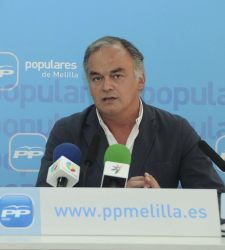 pons.jpg