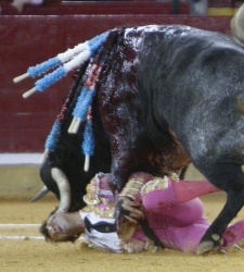torero-padilla.jpg