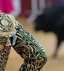 toros