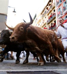 toros_sanfermines5.jpg