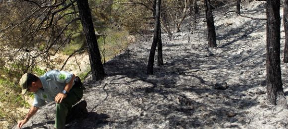 incendio-barcelona-efe-.jpg