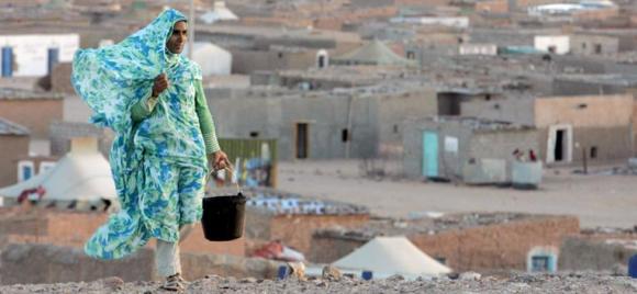 sahara-efe-.jpg