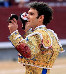 jose_tomas.jpg