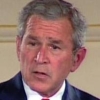 bush.jpg