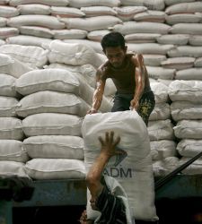 arroz_filipinas.jpg
