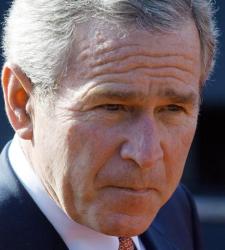 bush.JPG