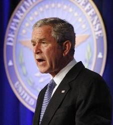 bush2.jpg