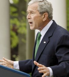 bush4.jpg