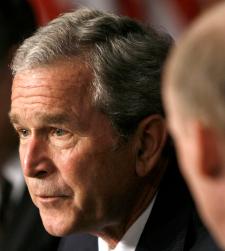 bush5.jpg