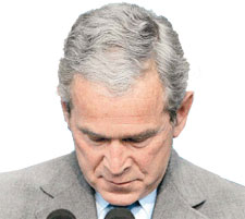 bushpena.jpg
