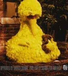gallina-sesamo-obama.jpg