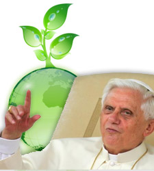 papa-ecologico.jpg