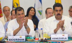 correa-alba.jpg