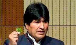 evo_morales_coca.jpg