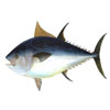 atun.jpg