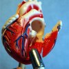 corazon1.jpg