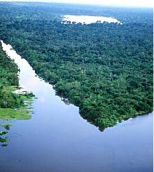 amazonas.JPG