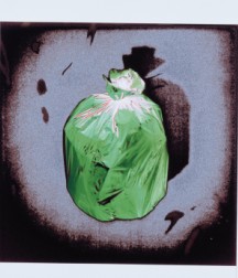 bolsas_plastico.jpg