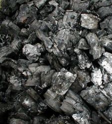 carbon_vegetal.jpg