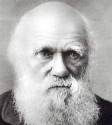 darwinnn.jpg