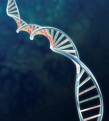 genes.jpg
