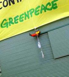 greenpeace.JPG