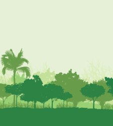 medioambiente.jpg