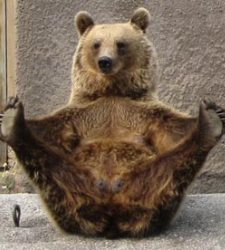 osa-yoga.jpg