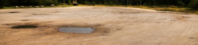 La clave: luchar contra la deforestación