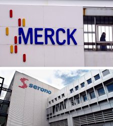 merck.jpg