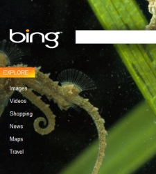 bing.jpg