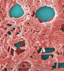 datos-en-bacteria.jpg