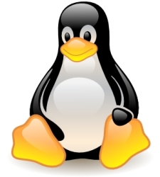 linux