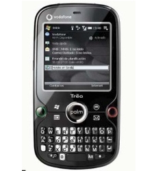 palm.jpg