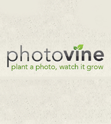 photovine.jpg