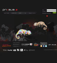 privalia-portal.JPG