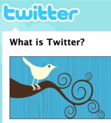 twitter2.jpg