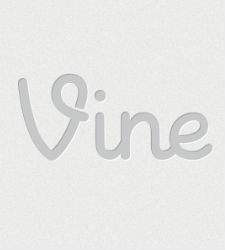 vine.jpg